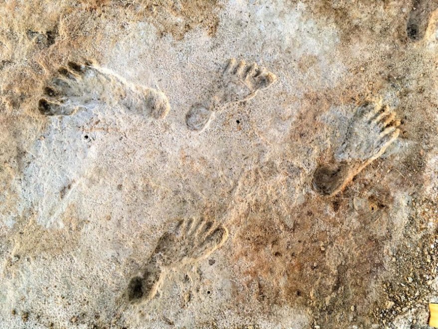 https://news.artnet.com/art-world/oldest-human-footprints-north-america-2013058