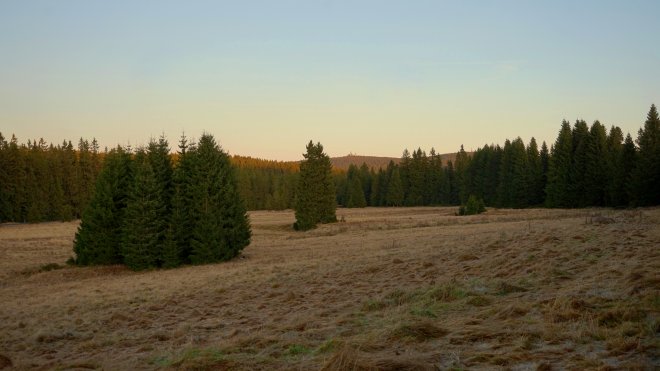 b-R637886_470941_20251222_27490.jpg