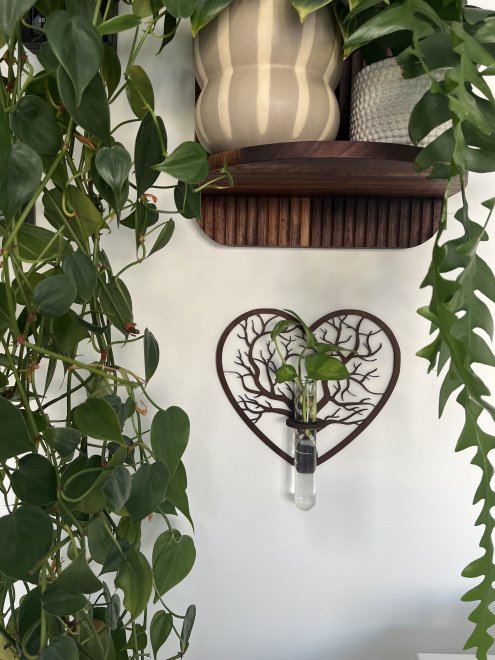 Biophilic design v praxi