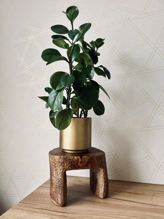 Drevený stolček Monolith