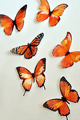  - Motýliky oranžové (6 ks) - 7066030_