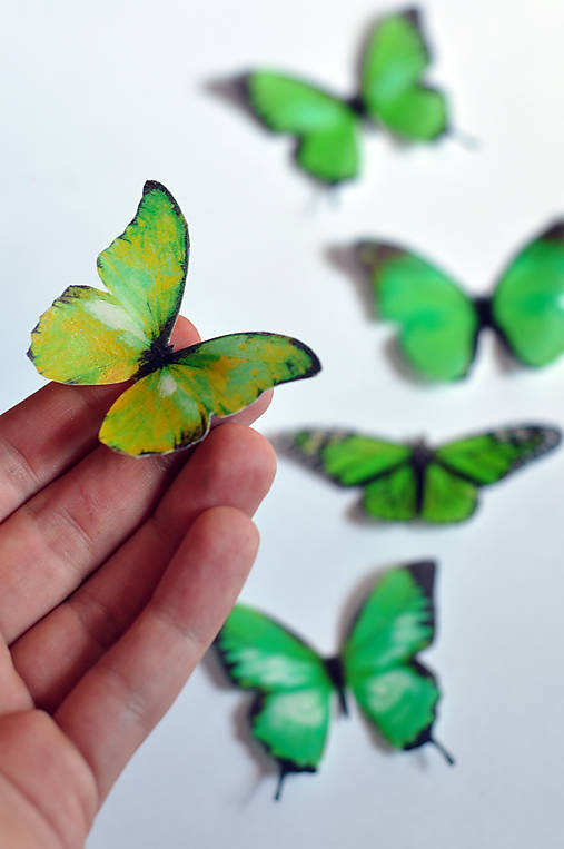  - Nové jedlé motýliky zelené (6 ks) - 7065837_