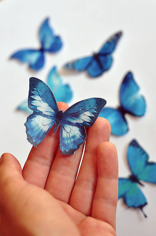  - Nové jedlé motýliky modré (6 ks) - 7065904_