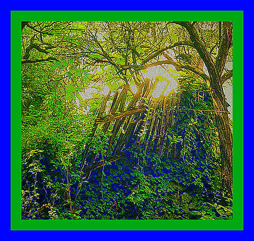 Fotografie - Starkin plot - 7149286_