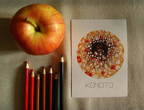 Papiernictvo - pohľadnica: j e ž k o - 7155359_