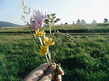 Fotografie - Posledná letná kytica lúčnych kvetov - 7166355_