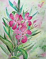 Oleander (27 x 35)