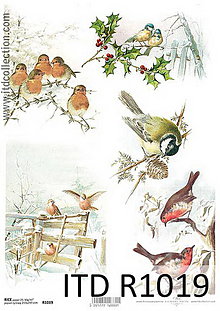 Papier - Ryžový papier Vtáčiky v zime - 7207651_