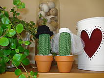  - Kaktus On a Ona - 7214133_