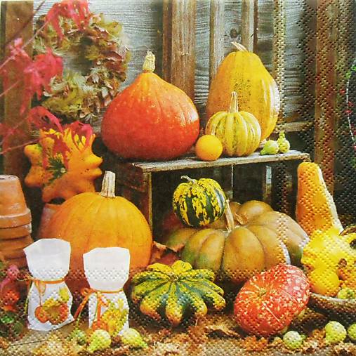 S808 - Servítky - tekvica, hokaido, jeseň, autumn, veniec