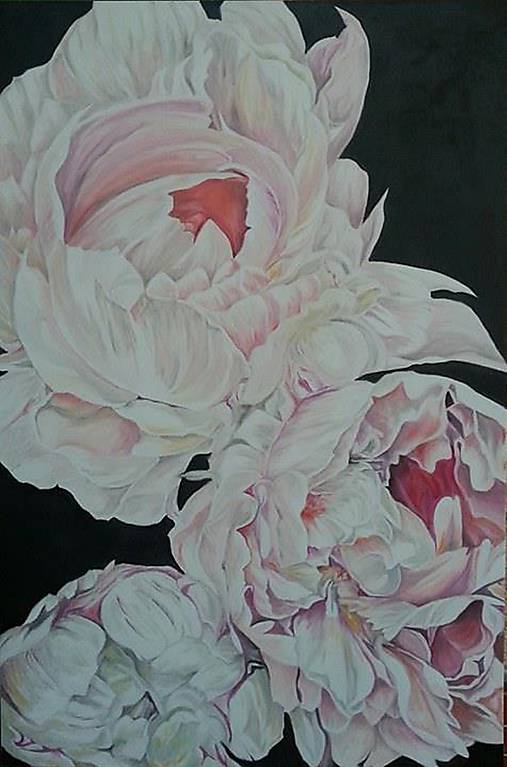 Obrazy - Peony II - 7336393_
