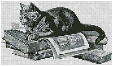 Návody a literatúra - A005 Mačka na knihe - 7520480_
