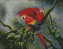A025 Papagáje