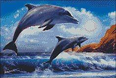 A026 Delfíny
