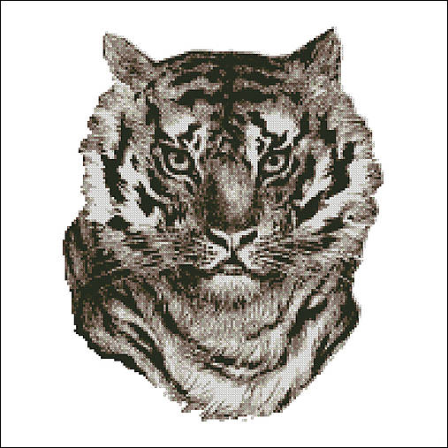 Návody a literatúra - A010 Tiger sépia - 7524795_