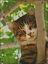 Návody a literatúra - A033 Mačka na strome - 7555500_
