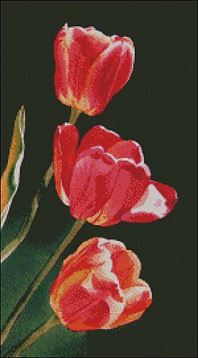 Návody a literatúra - F012 Tulipány - 7555548_