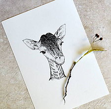 Kresby - Malá žirafa - 7554719_