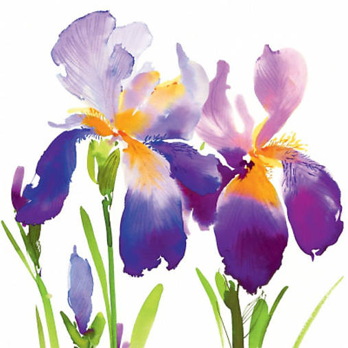  - Servítka "Purple iris" - 7615874_