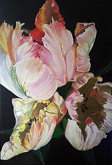 Obrazy - Papagáj tulipány - 7633158_