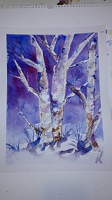 Obrazy - brezy v nočnom mraze - 7647388_