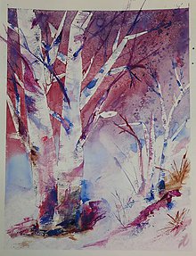 Obrazy - brezy - mrzne pred svitaním - 7693615_