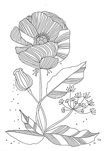 Kresby - Kvetiny IV, kresba, obrázok - 7691743_