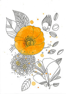 Kresby - Kvetiny VI, akvarel, kresba, obrázok - 7691840_