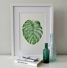 Kresby - Philodendron II - 7703840_