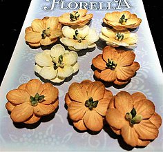 Polotovary - Florella - dekoračné kvety - krémové - 7749625_