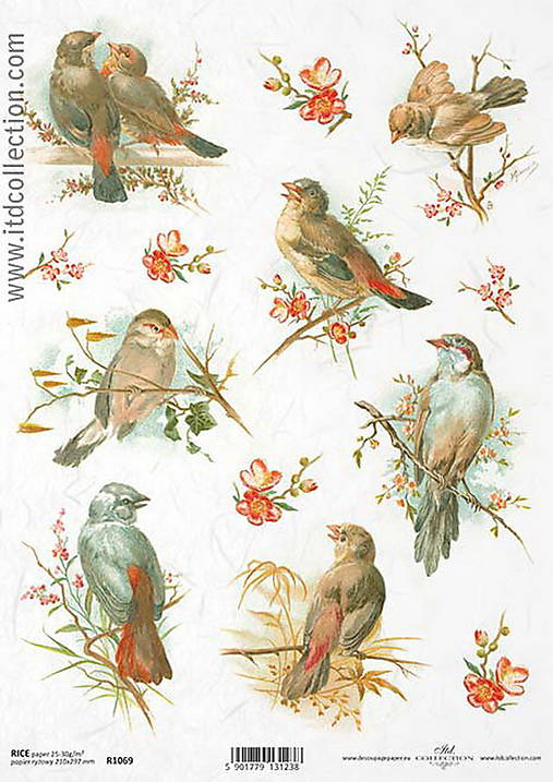 Papier - Ryžový papier - 7753361_