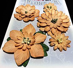 Polotovary - Florella - dekoračné kvety - beige - 7757377_