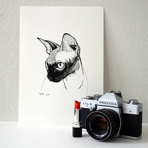 Kresby - Mačka "A5" - 7760369_