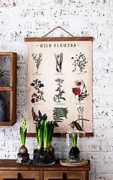  - -50% Print na plátne BOTANIC CABINET WILD FLOWERS - 7769816_