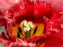 Fotografie - Strapatý tulipánik - 7780114_