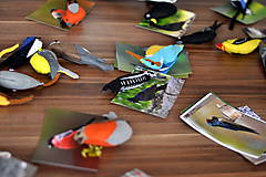 Hračky - Záhrada plná vtákov (rybárik riečny) - 7801738_