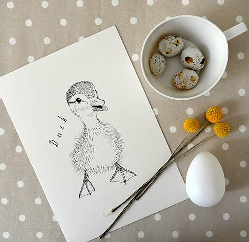 Kresby - Kačiatko - 7798266_