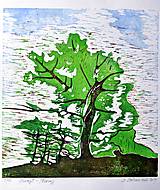 Strom - grafika - trojfarebný linoryt - zelený...