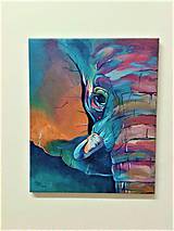 Obrazy - Slon - 7849254_
