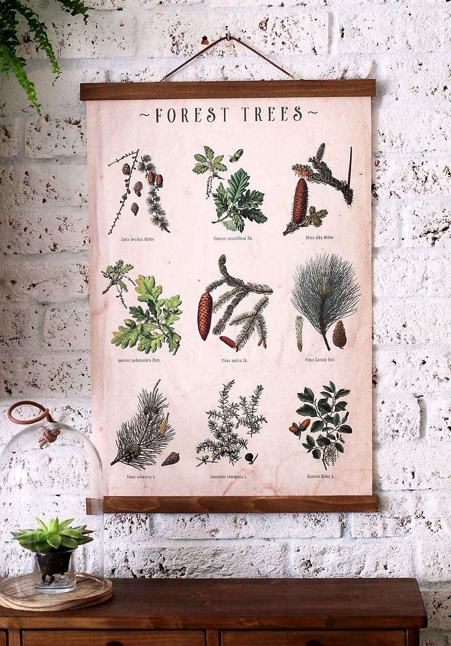 -50% Print na plátne FOREST TREES CABINET A2