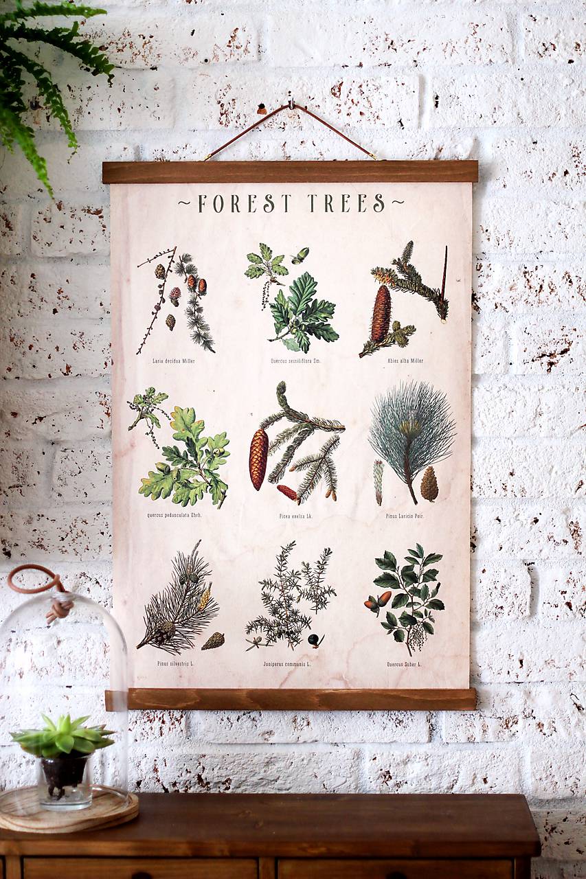 -50% Print na plátne FOREST TREES CABINET A2