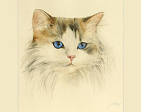 Obrazy - Mačička - maľba akvarelom a pastelom - 7927386_