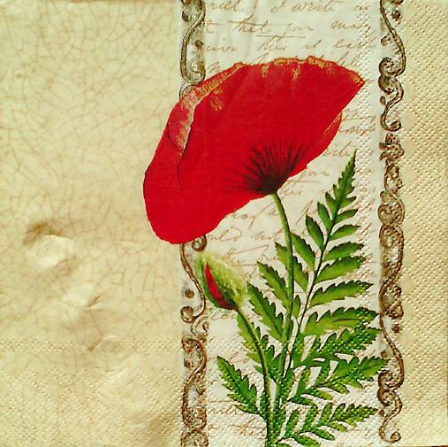 Papier - kvety 50 - 7956976_