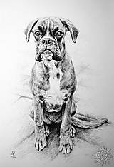 Kresby - Portrét psíka - 7996448_