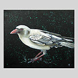 Obrazy - Bílá vrána I - olejomalba na plátně - 8012738_