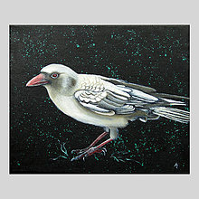 Obrazy - Bílá vrána I - olejomalba na plátně - 8012738_