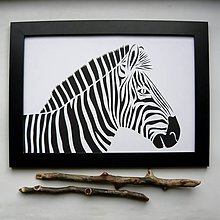 Obrazy - Zebra... - 8020885_