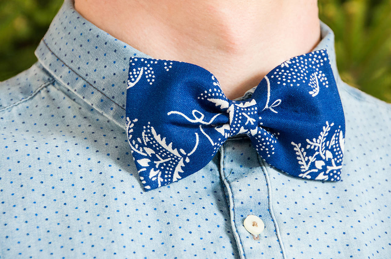 Modrotlačový motýlik II.