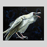 Obrazy - Bílá vrána III - olejomalba na plátně - 8054001_