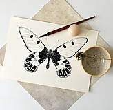 Kresby - Motýľ - Cressida cressida - 8057209_